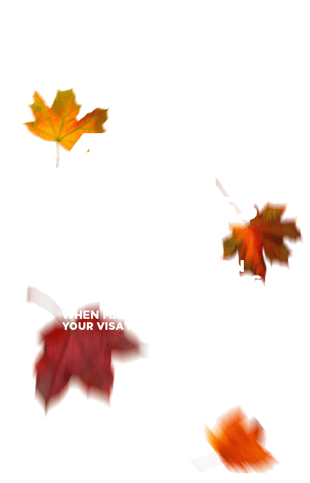 Earn 4x points on groceries and 3x points on everything else when you use your Visa Rewards Credit Card.